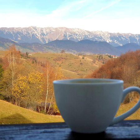 La Kaifas Villa Фундата Екстериор снимка